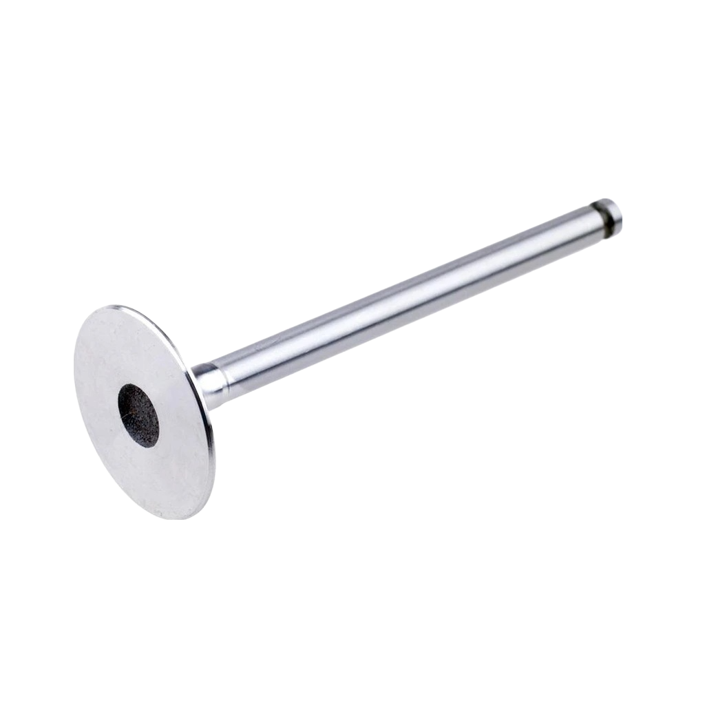 Valve Inlet OE 739060M1 For Massey Ferguson